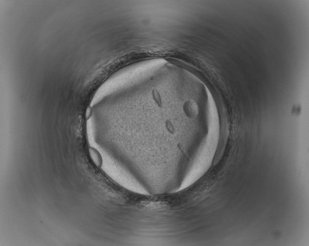 X0000112160689200908281404