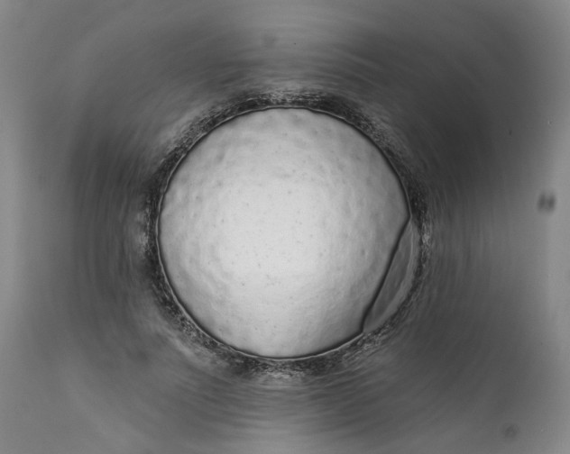 X0000112160691200908281404