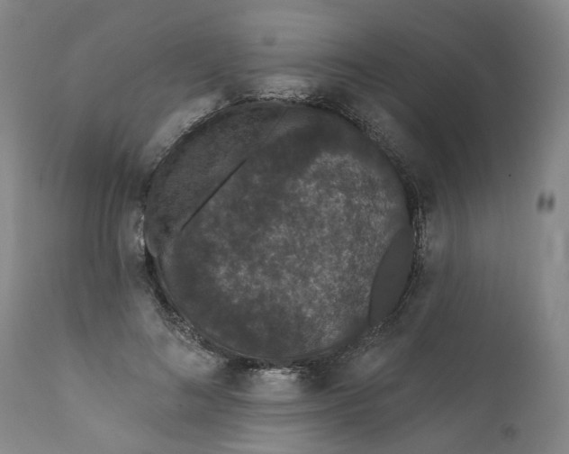 X0000112160692200908281404