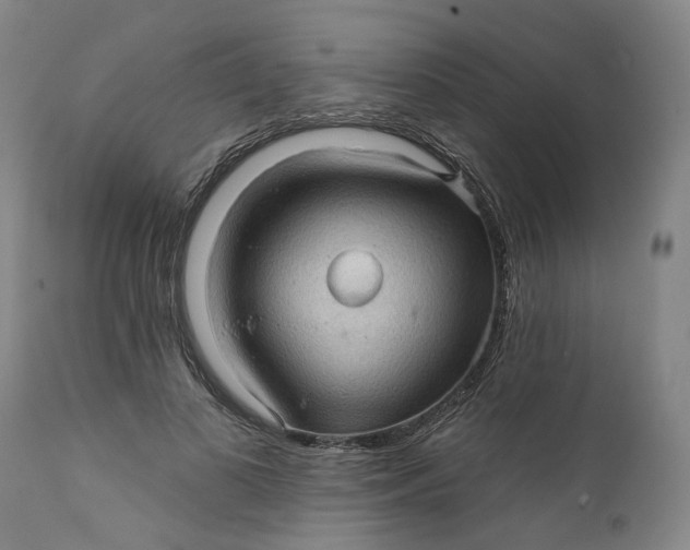 X0000112160693200908281404