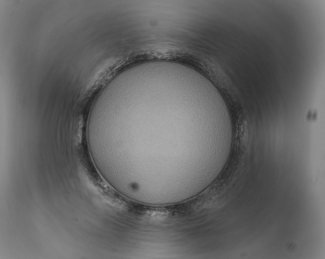 X0000112160694200908281404