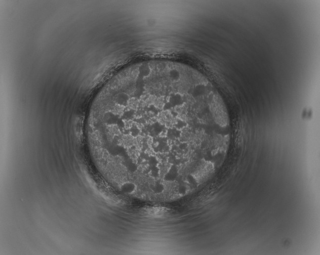 X0000112160695200908281404