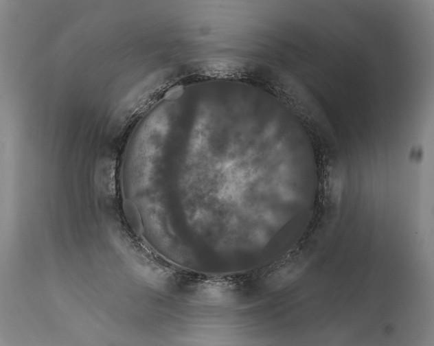 X0000112160696200908281404