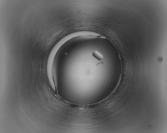 X0000112160697200908281404