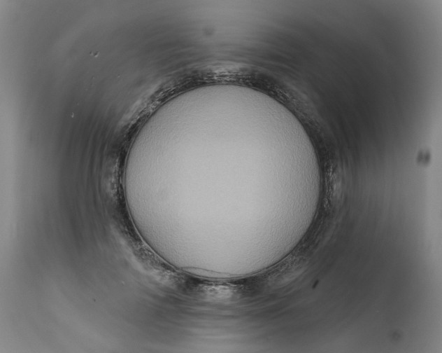 X0000112160698200908281404