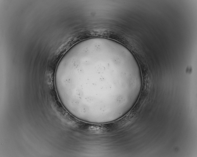 X0000112160699200908281404