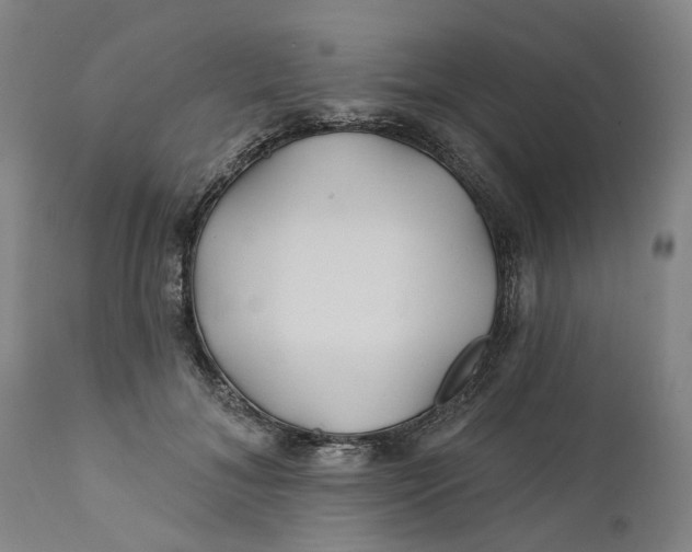 X0000112160700200908281404