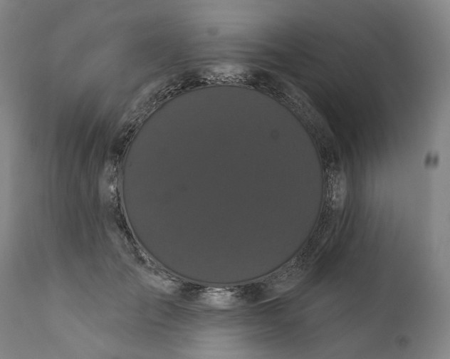 X0000112160701200908281404