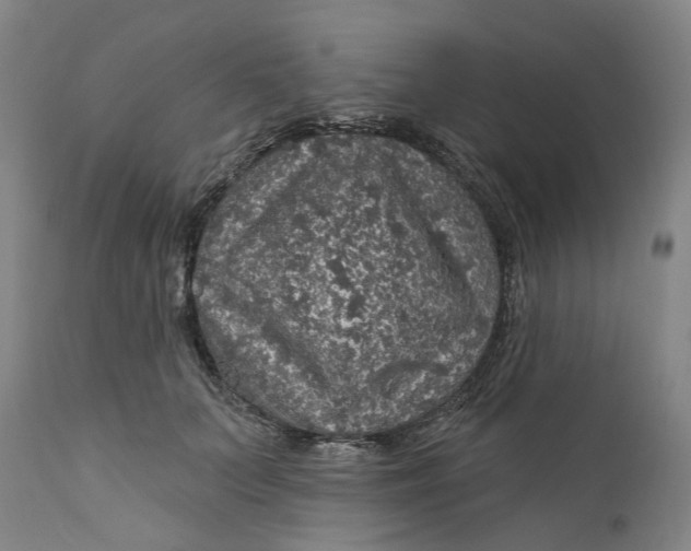 X0000112160703200908281404