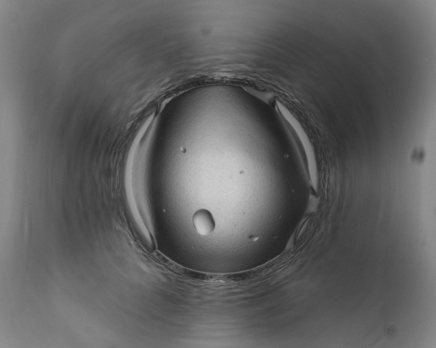 X0000112160704200908281404