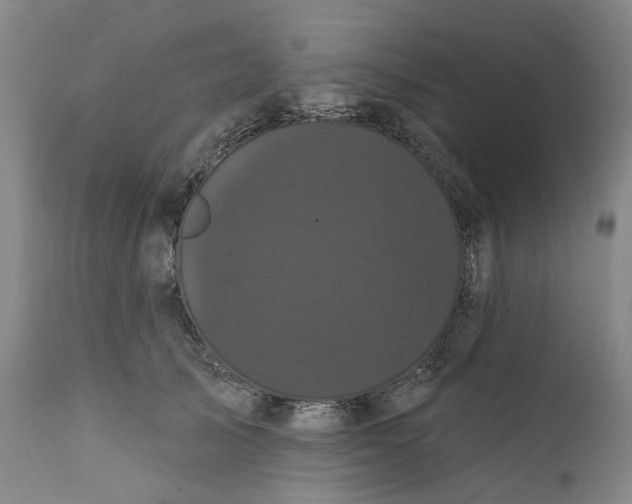 X0000112160705200908281404