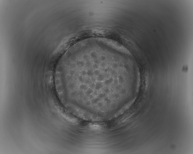 X0000112160706200908281404