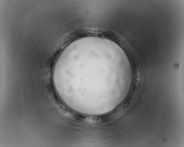 X0000112160707200908281404