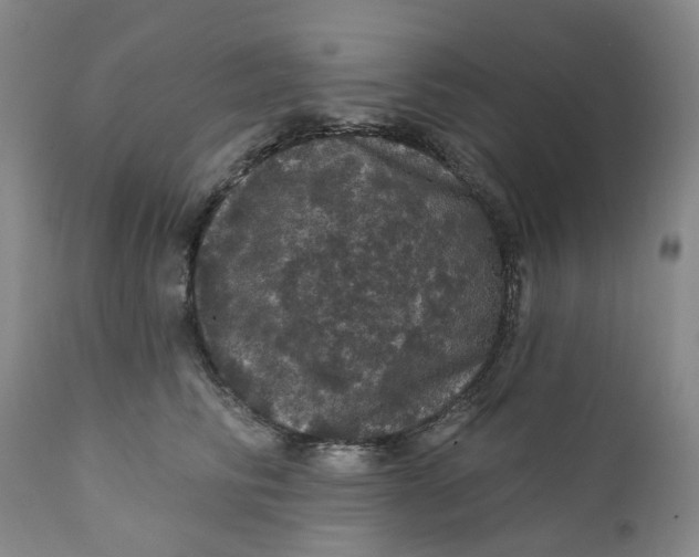 X0000112160710200908281404