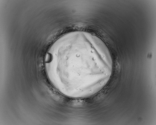 X0000112160711200908281404