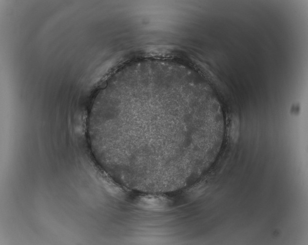 X0000112160712200908281404