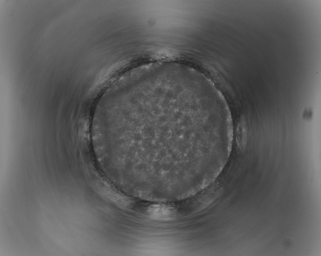 X0000112160714200908281404