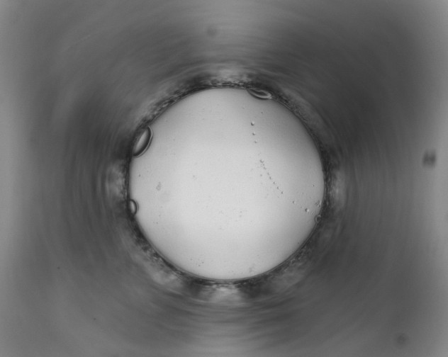 X0000112160715200908281404