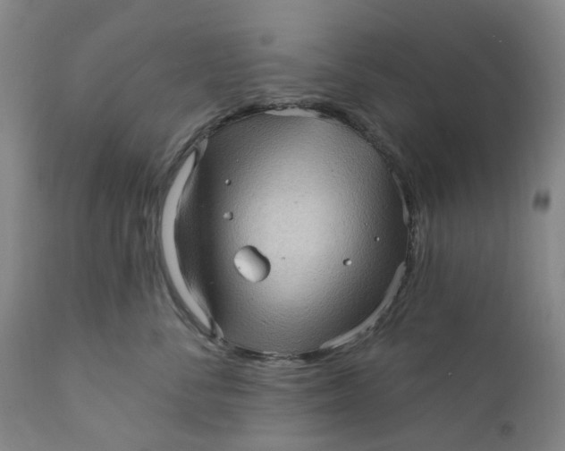 X0000112160716200908281404