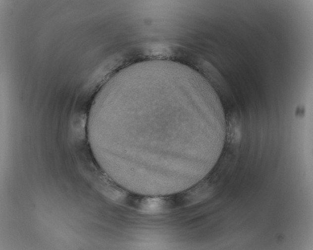 X0000112160717200908281404