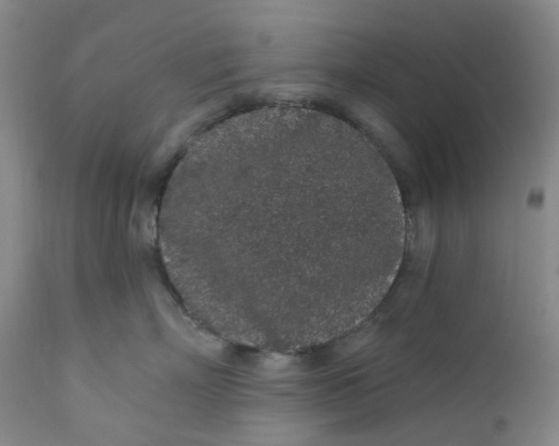 X0000112160718200908281404