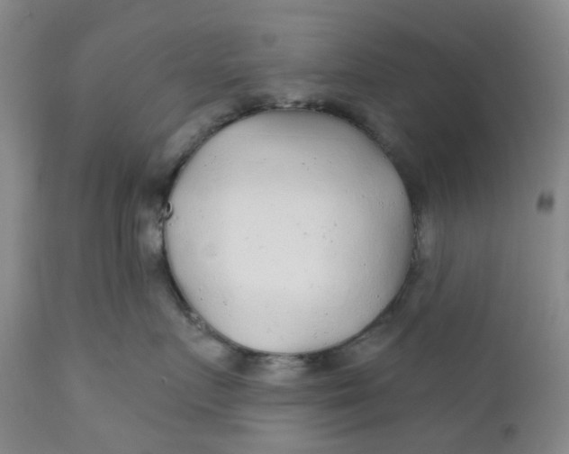 X0000112160719200908281404