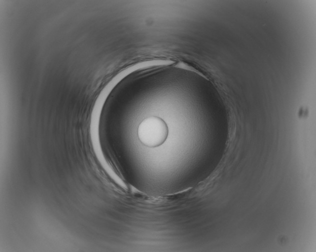 X0000112160720200908281404