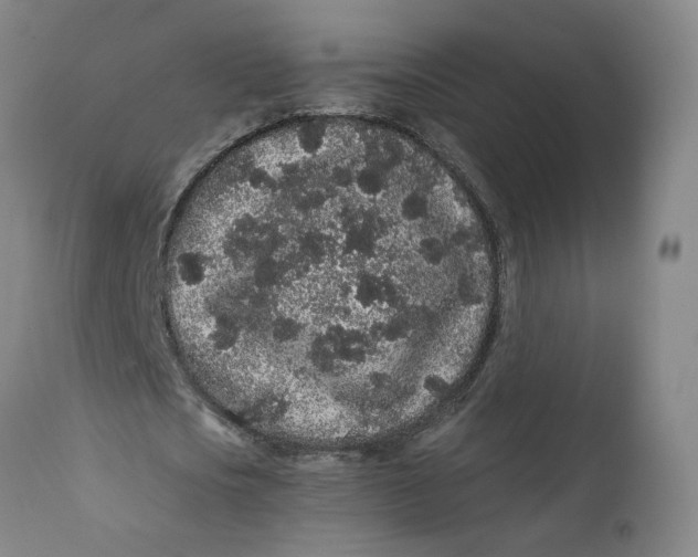 X0000112160721200908281403