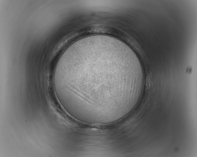 X0000112160722200908281403