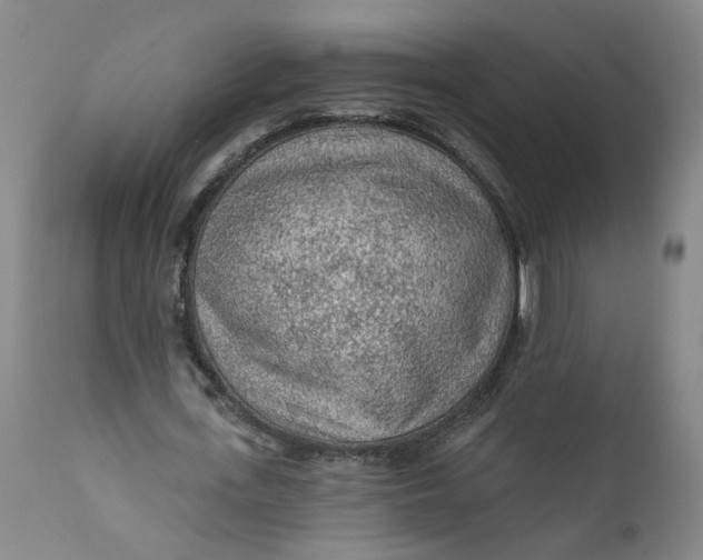 X0000112160723200908281403