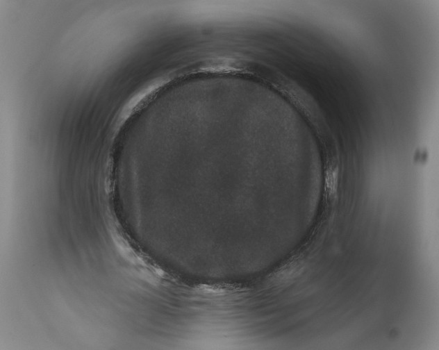 X0000112160724200908281403