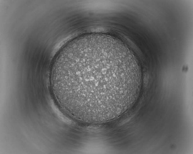 X0000112160725200908281403