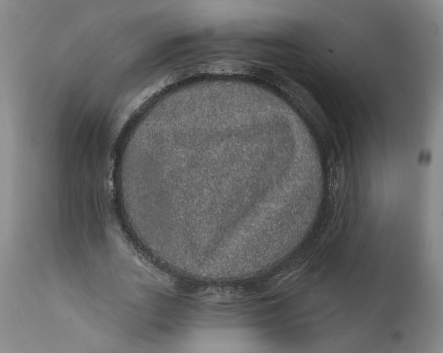 X0000112160727200908281403