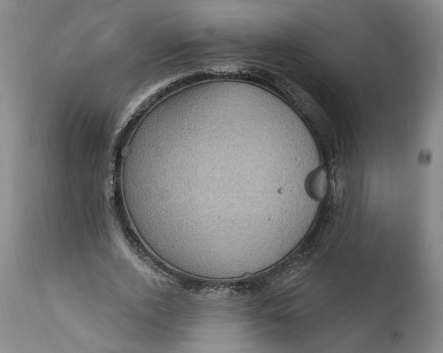 X0000112160728200908281403