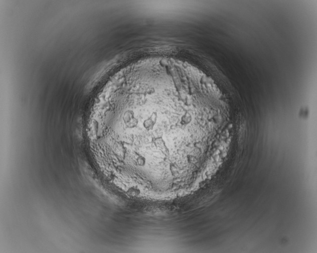 X0000112160729200908281403