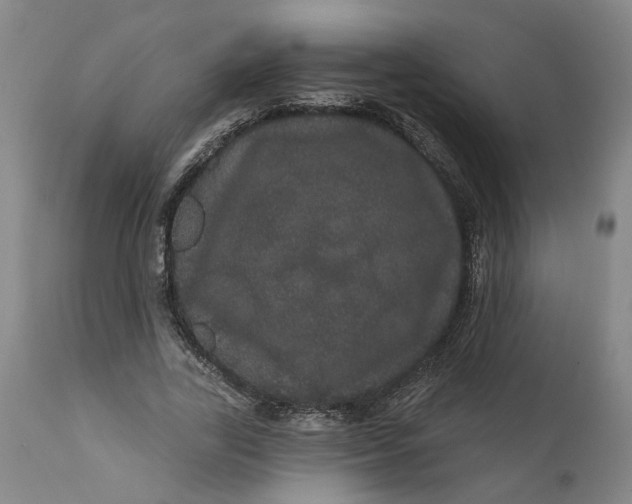 X0000112160731200908281403