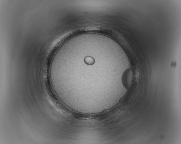 X0000112160732200908281403