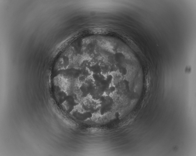 X0000112160733200908281403