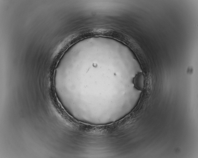 X0000112160734200908281403