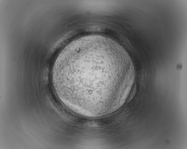 X0000112160735200908281403