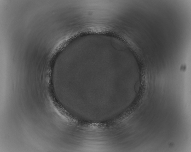 X0000112160736200908281403