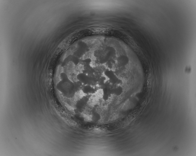 X0000112160737200908281403