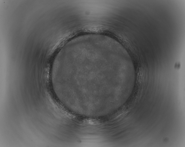 X0000112160739200908281403