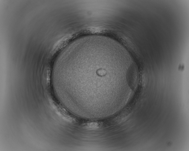 X0000112160740200908281403