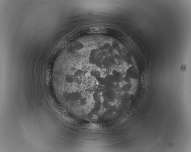 X0000112160741200908281403