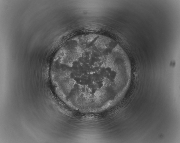 X0000112160745200908281403