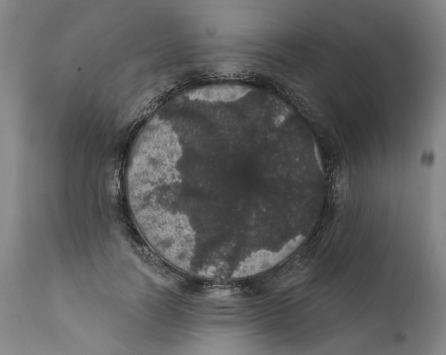 X0000112160746200908281403