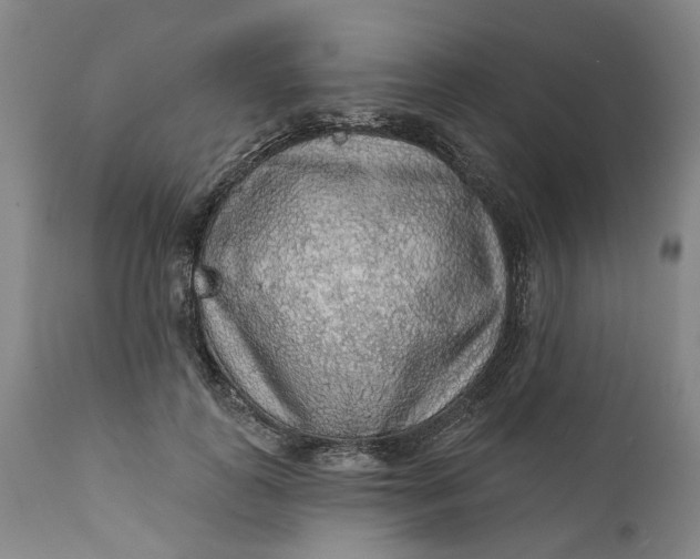 X0000112160747200908281403