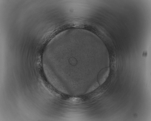 X0000112160748200908281403