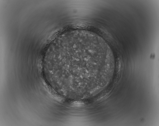 X0000112160749200908281403